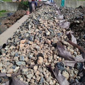 WhatsApp Image 2025-07-29 at 6.38.27 AM (1)